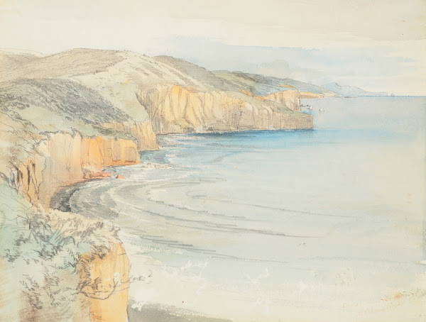Coast near Dunedin 1865