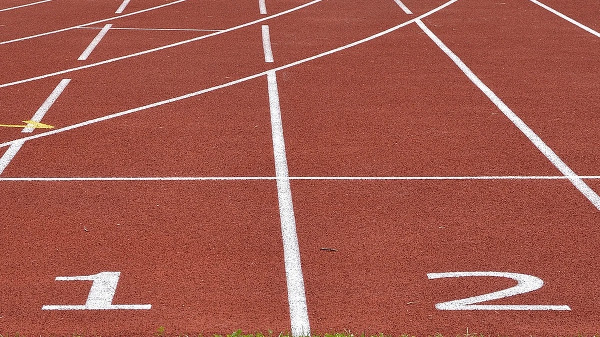 건강 관리 앱에서 운동 기록과 영양 추적 기능 차이 분석