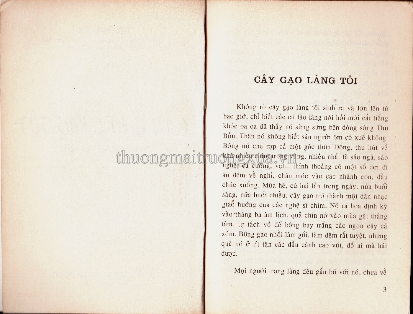 Cây gạo làng tôi (1998) - Trang 2