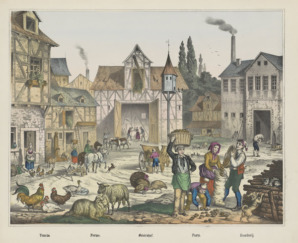 Farm 1829   1880
