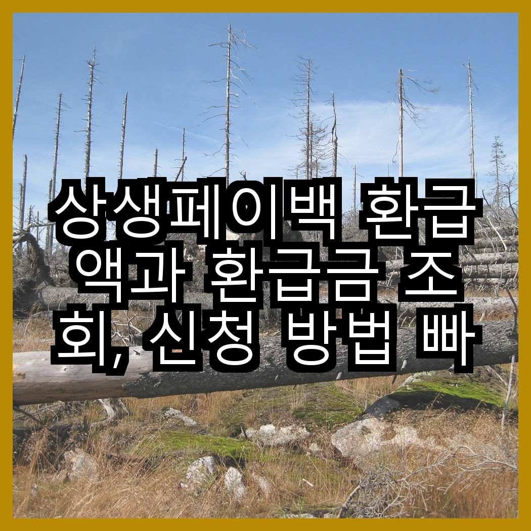 상생페이백 환급액과 환급금 조회, 신청 방법 빠른 안내 썸네일