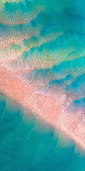 Arctic, Water, Marine Biology, Sea, Underwater Environment Full HD iPhone Wallpaper Background