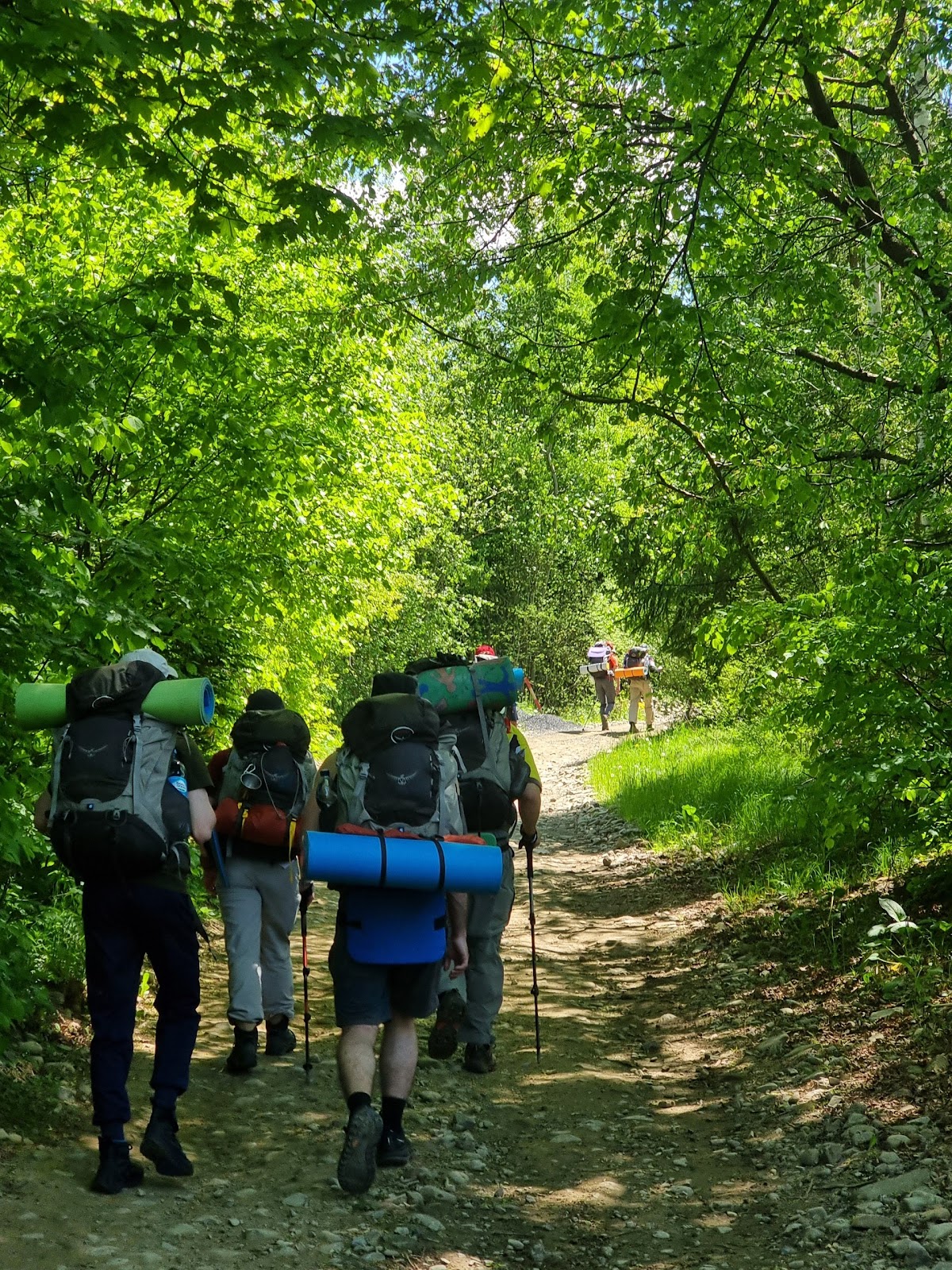 [The Hike 5]