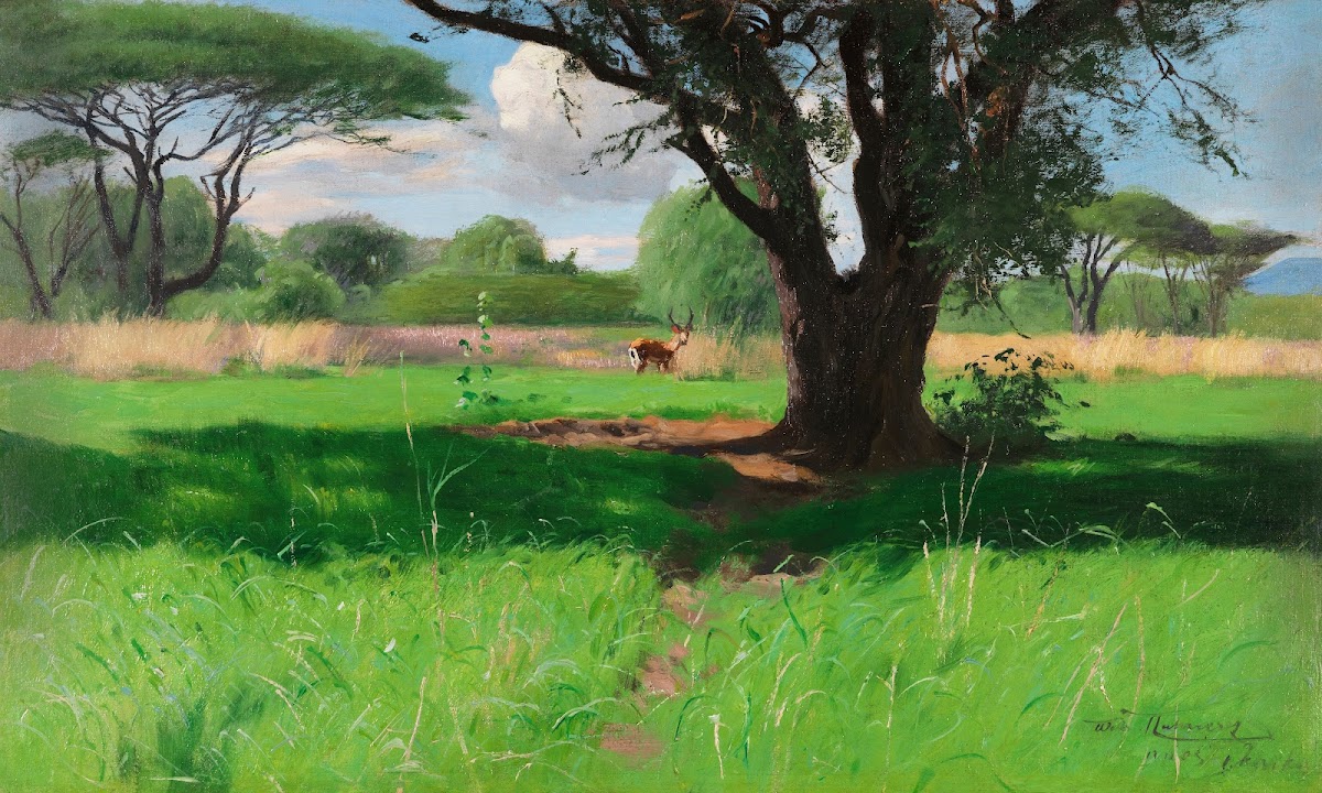 In der Savanne Ostafrikas 1905