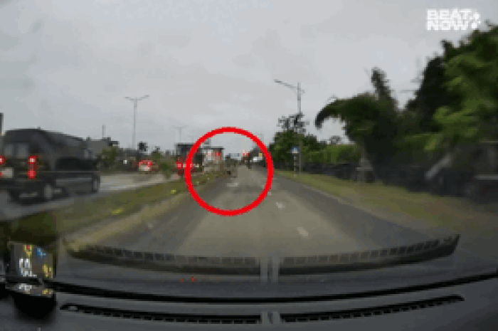 Lái xe lúc sáng sớm, tài xế gặp sự cố không ai ngờ, xem camera mà thót tim - Tạp chí SaoStar