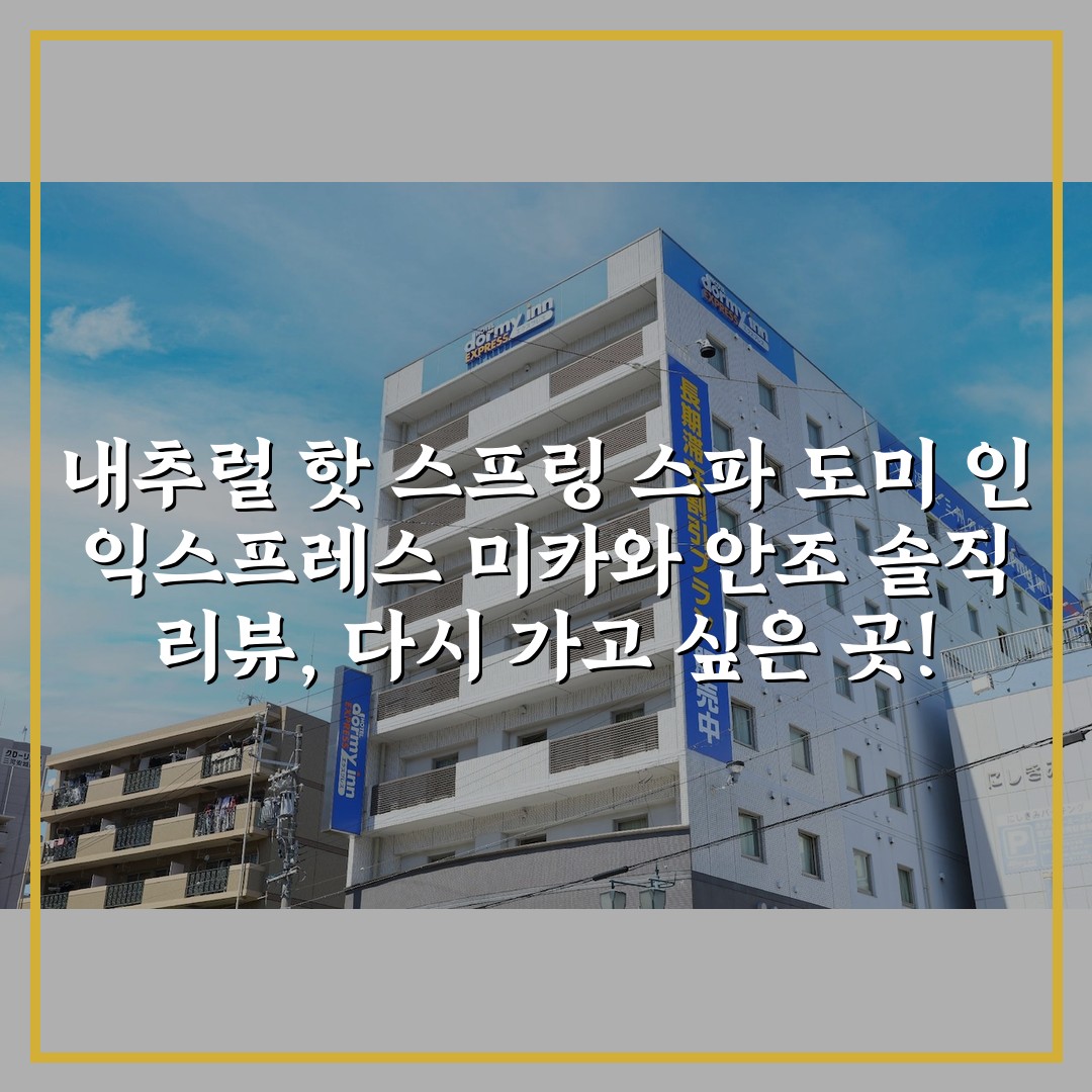 내추럴 핫 스프링 스파 도미 인 익스프레스 미카와 안조 솔직 리뷰, 다시 가고 싶은 곳!