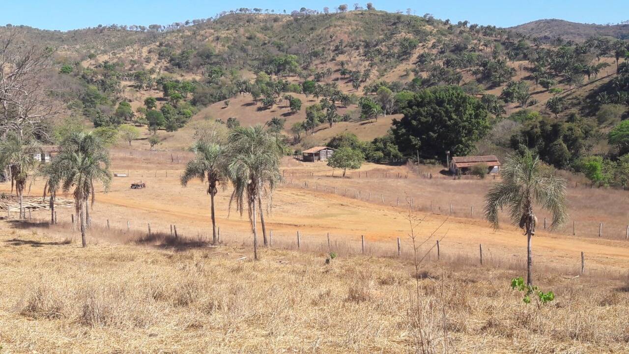 Fazenda em Niquelândia-GO 6