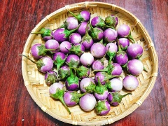 Cà pháo mua về đem phơi nắng 1-2 tiếng cho cà héo bớt, như vậy khi muối cà sẽ hút nước và giòn ngon hơn, sau 1-2 tiếng bạn đem cắt bỏ phần cuống quả cà.