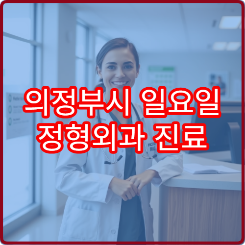 의정부시 일요일 정형외과 진료 병원 허리디스크·관절염 상담 가능