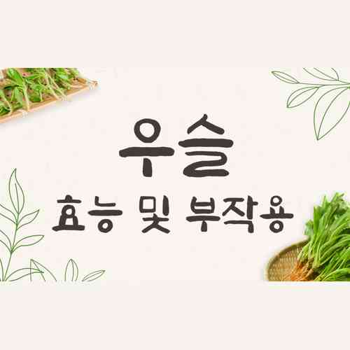 우슬 효능과 부작용, 우슬차와 우슬즙 효과적인 먹는법 총정리