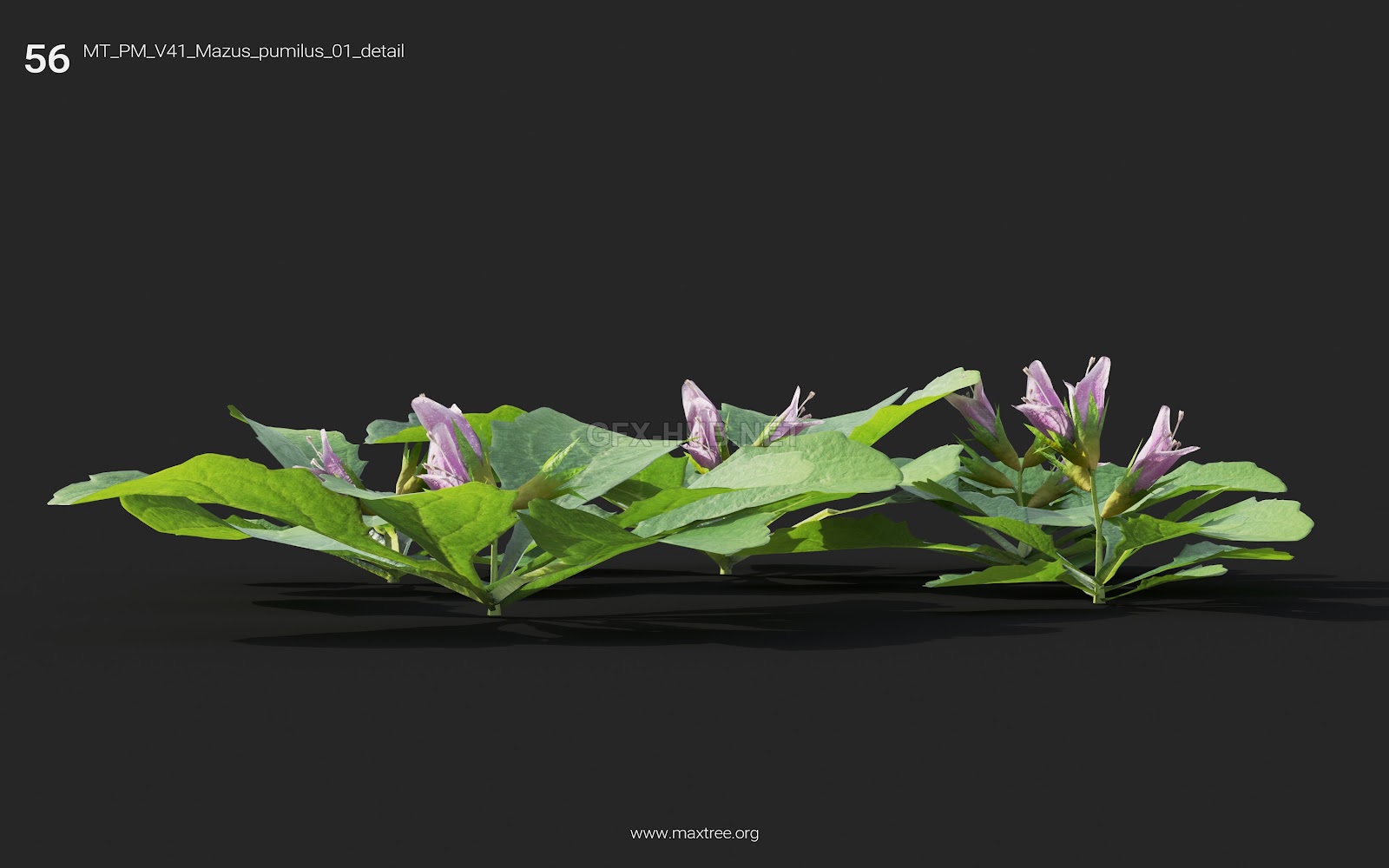 Maxtree - Plant Models Vol.41