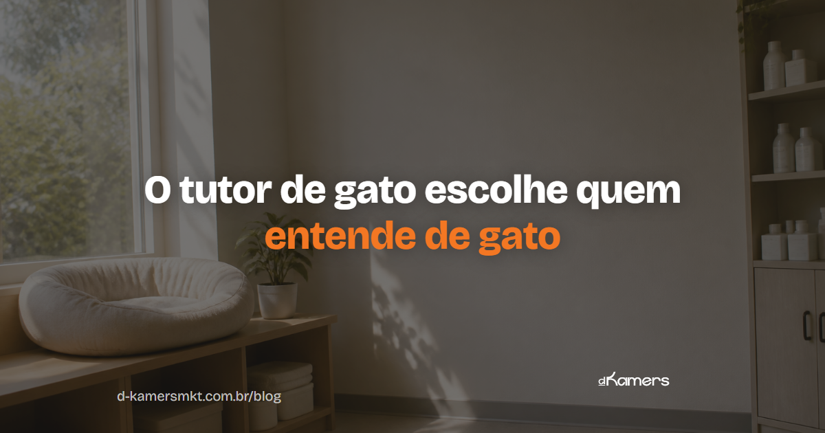 Clínica veterinária cat friendly: o posicionamento que atrai o tutor de gato