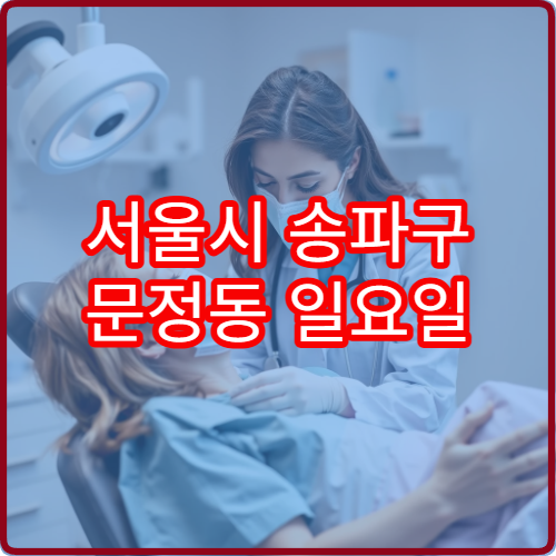 서울시 송파구 문정동 일요일 치과 진료 병원 주말 진료