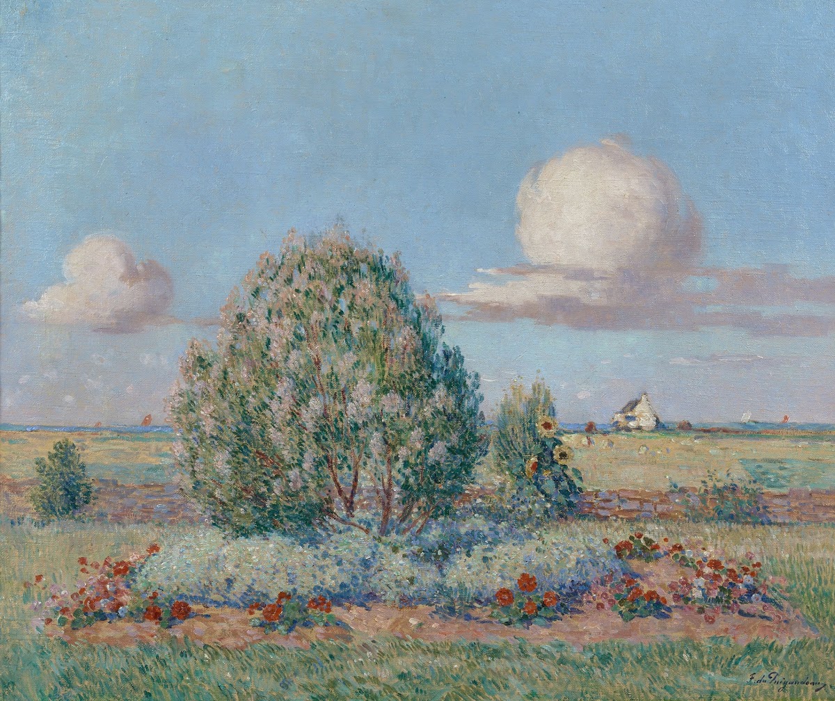 Parterre fleuri