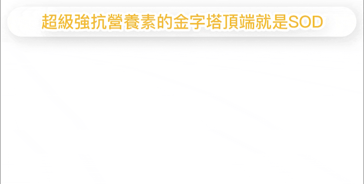 美國 PureWay C 專利微脂體吸收技術