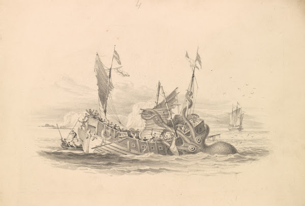 The Kracken Supposed a Sepia or Cuttle Fish ca 1837