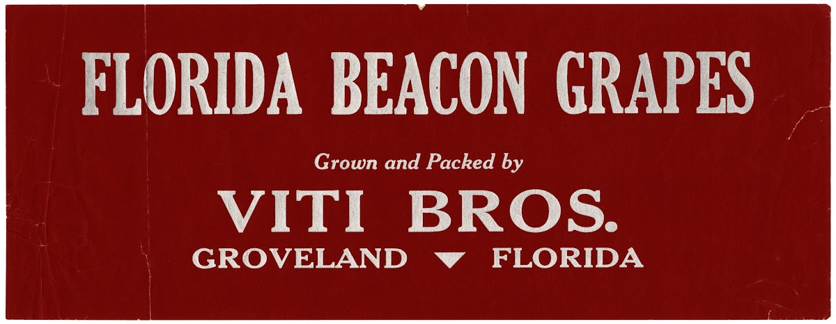 Florida Beacon Grapes Label 1930 1950
