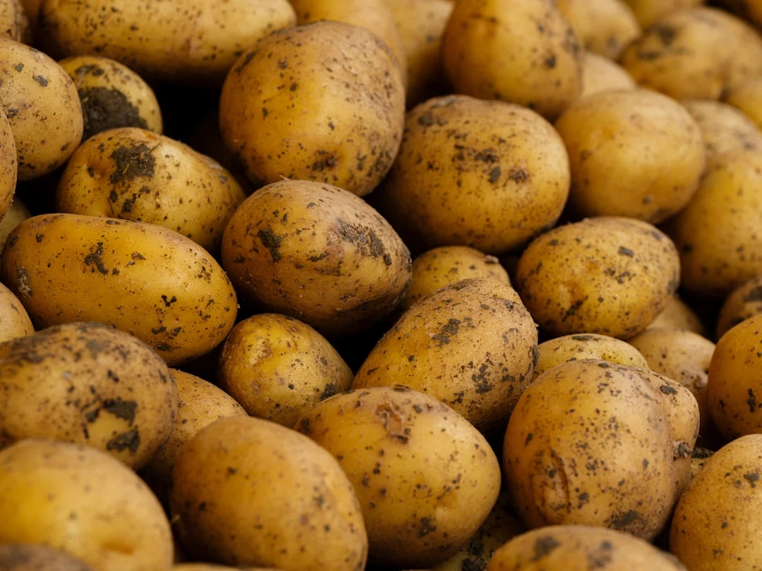 Separating Fact from Fear: The Truth Behind Potatoes and Mortality Risk