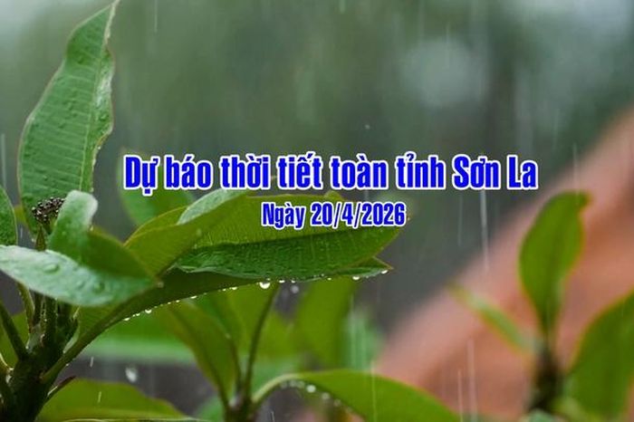 Dự báo thời tiết toàn tỉnh Sơn La ngày 20/4/2026 - Báo Sơn La