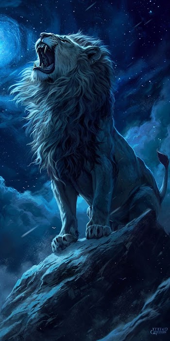 Lion At Night Picture