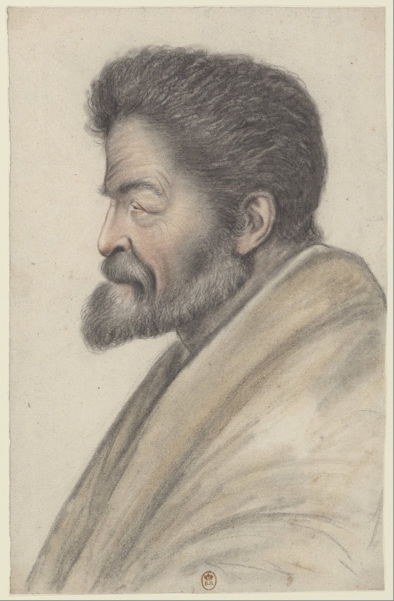 Homme à la barbe courte et aux cheveux courts et raides vu de profil à gauche