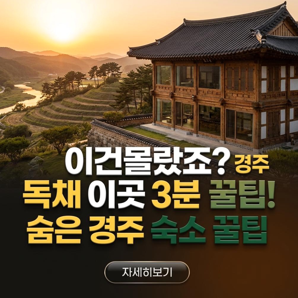 경주 독채펜션 스테이안유 완벽 분석: 한옥 감성, 프라이빗 힐링의 모든 것