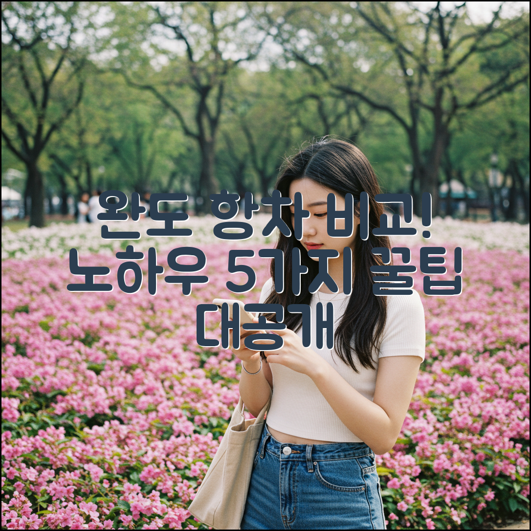 완도발 항차 비교하는 노하우 5가지