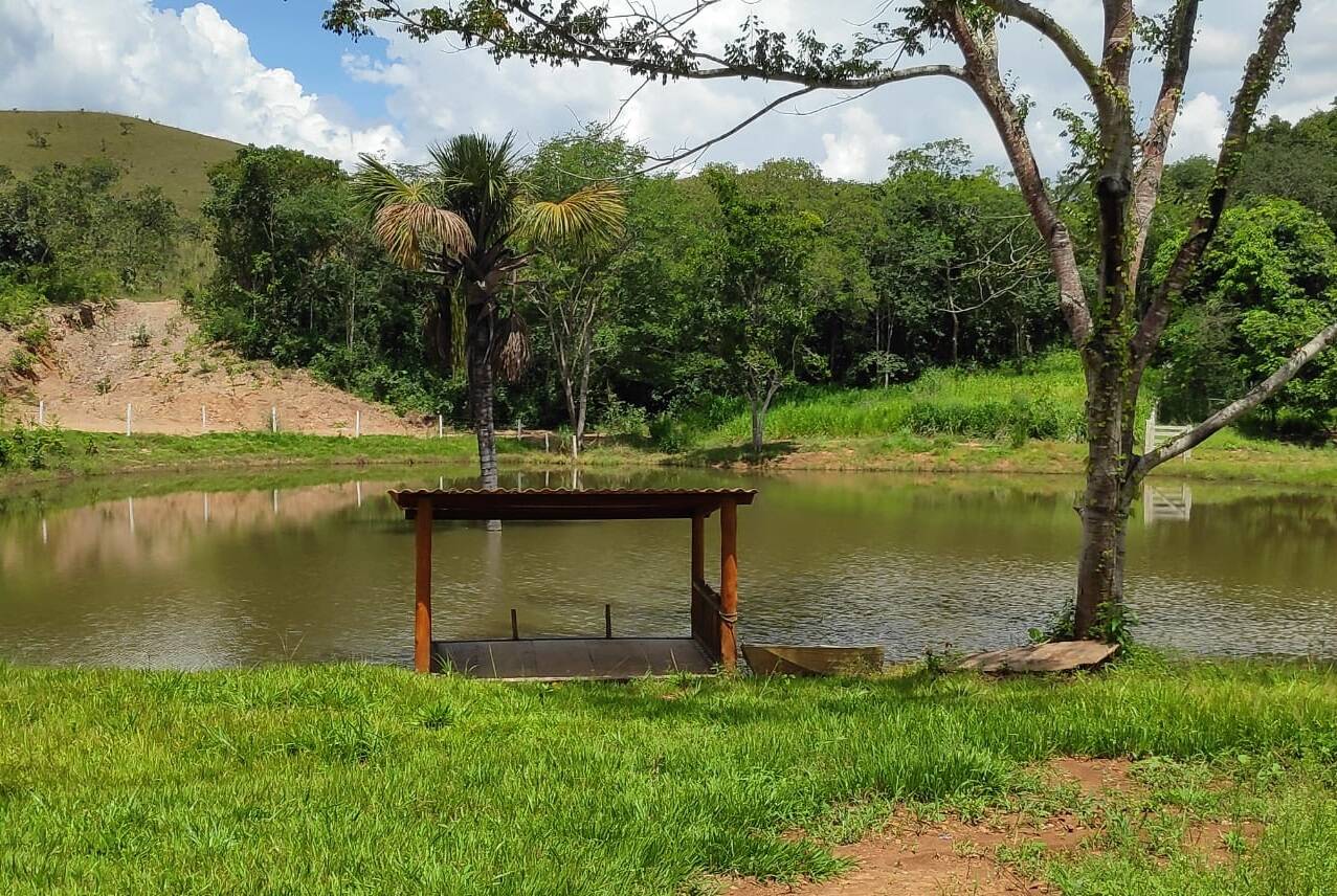 Fazenda em Niquelândia-GO 8