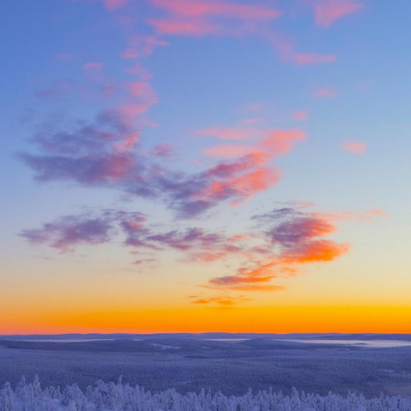 Download Snowy Forest At Sunset Full HD iPhone