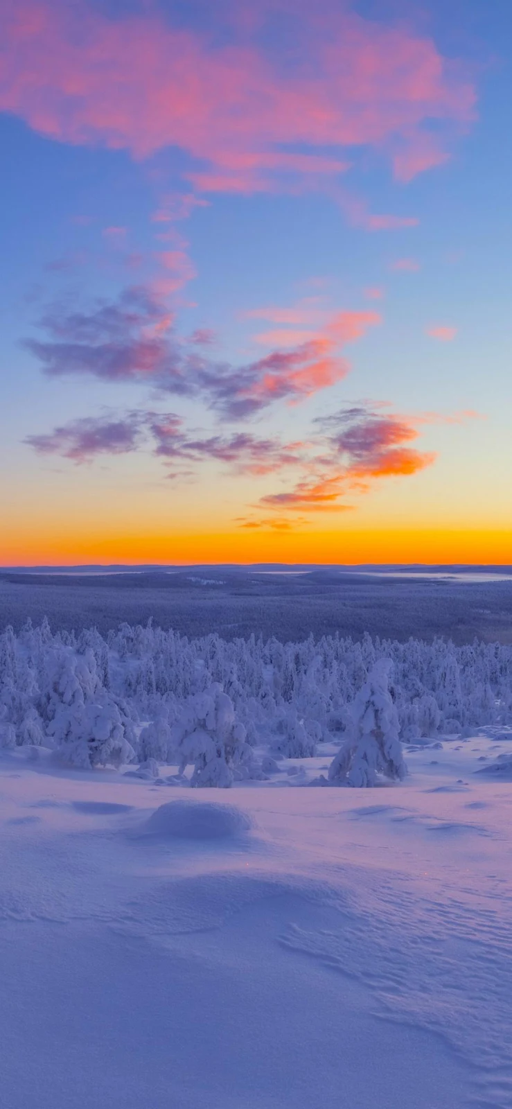 Snowy Forest At Sunset - Landscape Photography Full HD iPhone Wallpaper (1090x2360)