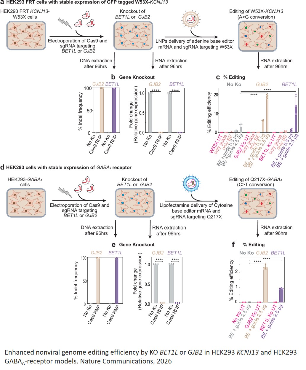Genome-wide CRISPR screening identifies cellular factors controlling nonviral genome editing efficiency