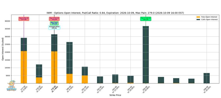 IWM Options