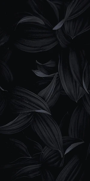Deep Shadowed Plant Texture iPhone Wallpaper Background