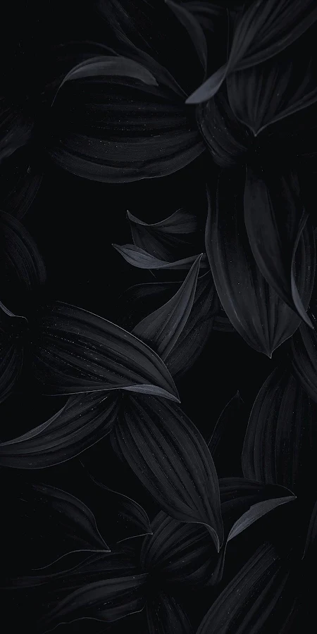 Deep Shadowed Plant Texture iPhone Phone Wallpaper