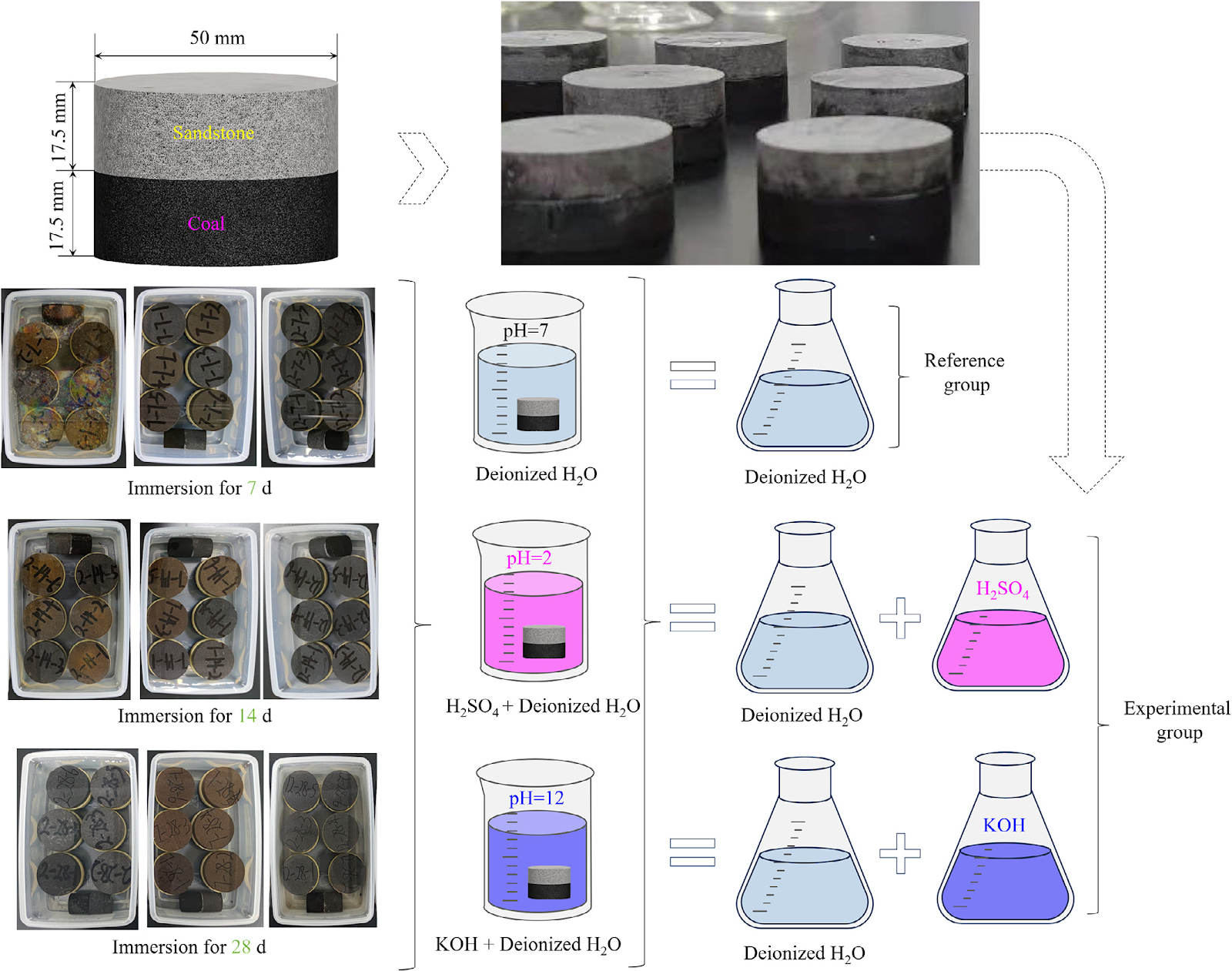Deterioration mechanism and dynamic constitutive model of coal-rock assemblages considering chemical corrosion and impact damage