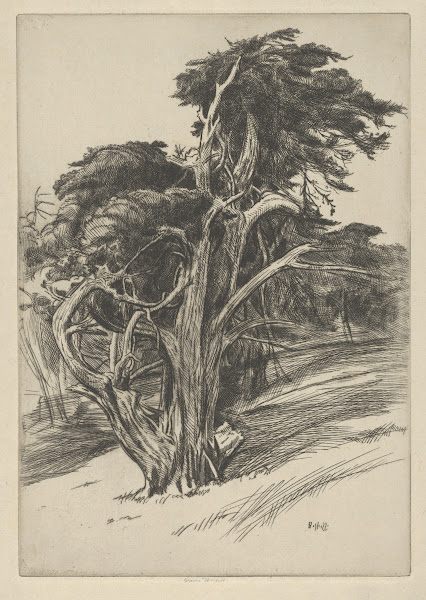 Plume of Balboa 1914 1919