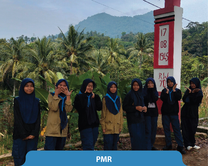 pmr