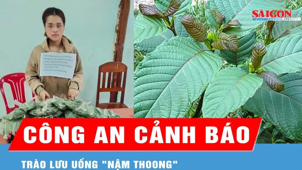 Công an tỉnh Quảng Ngãi cảnh báo trào lưu uống 'Nậm thoong' - Báo Sài Gòn Giải Phóng