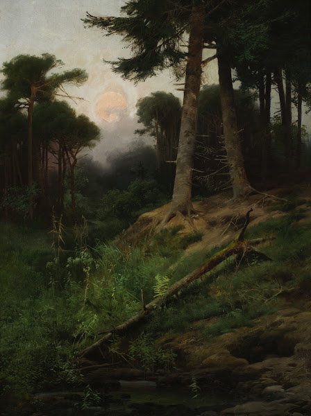 Forest landscape at sunrise