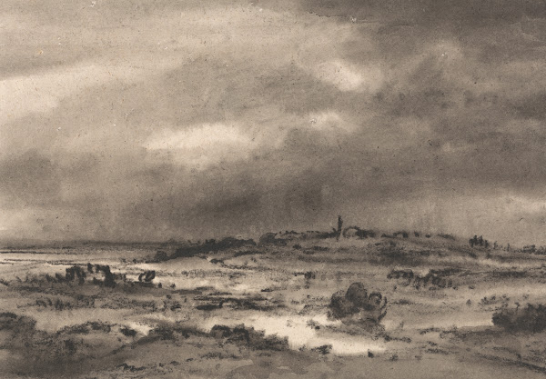 Marshland Landscape