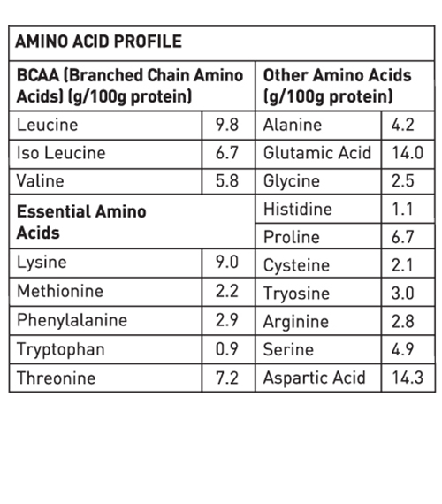 Avvatar Isorich Protein Mango Rush Flavour, 1 Kg