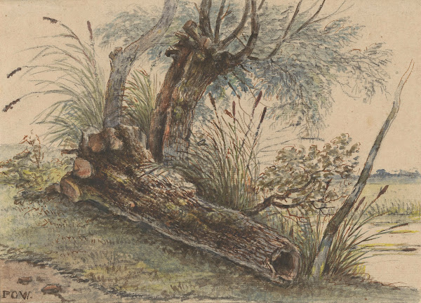 Boomstronk in het riet 1801   1873