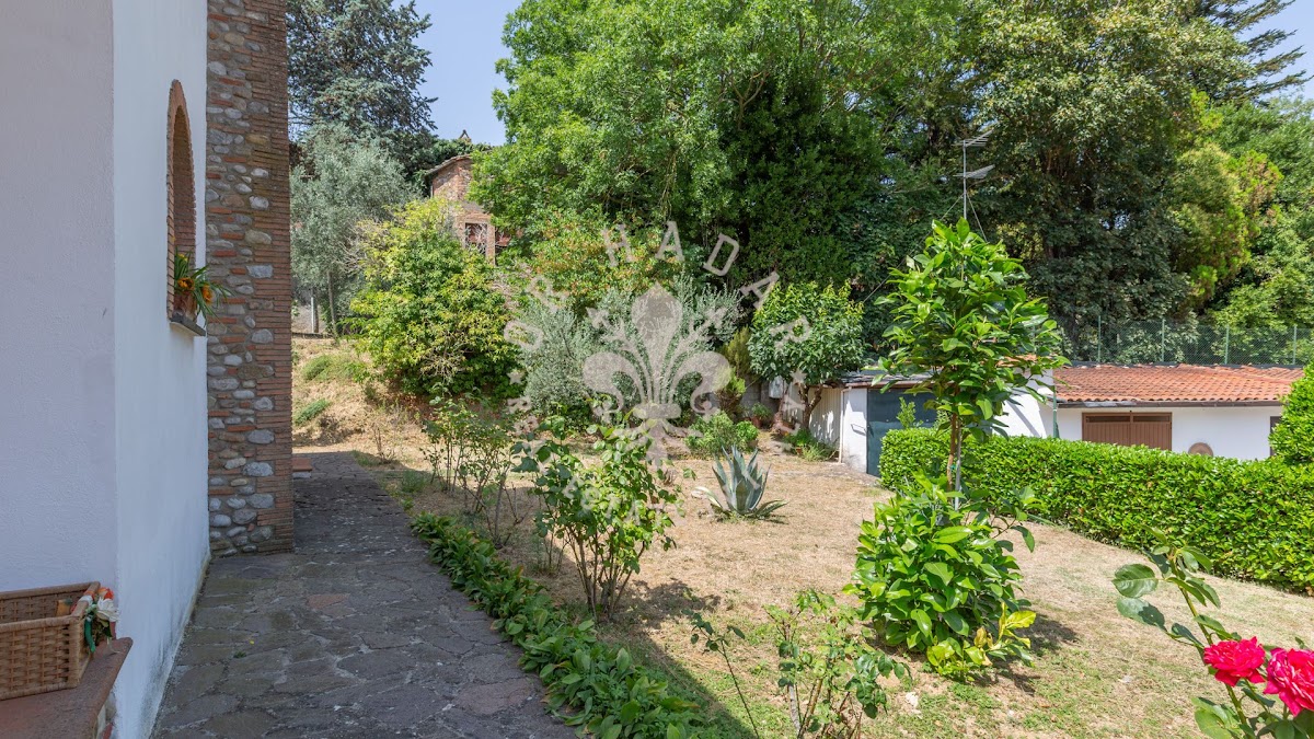 החמניות של ארינה (I Girasoli di Erina) — 12