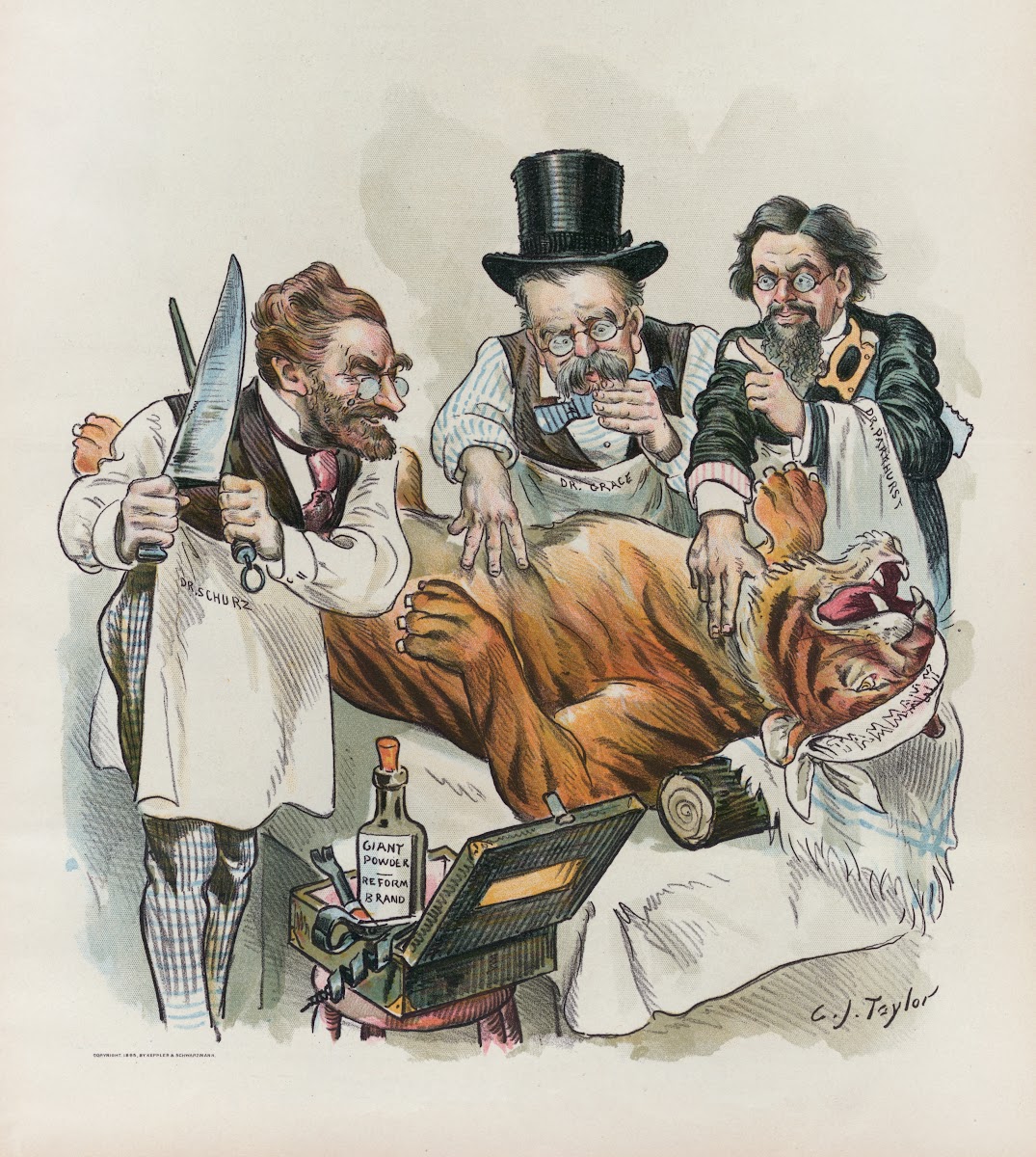 Make a complete job of it this time 1895