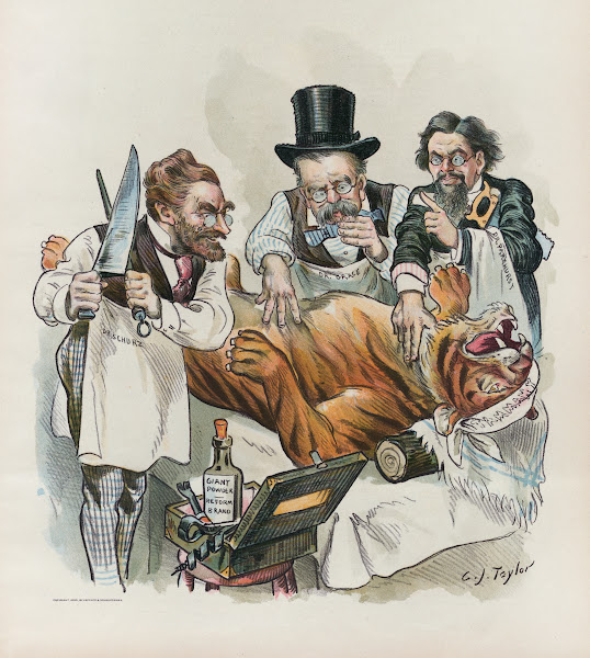 Make a complete job of it this time 1895