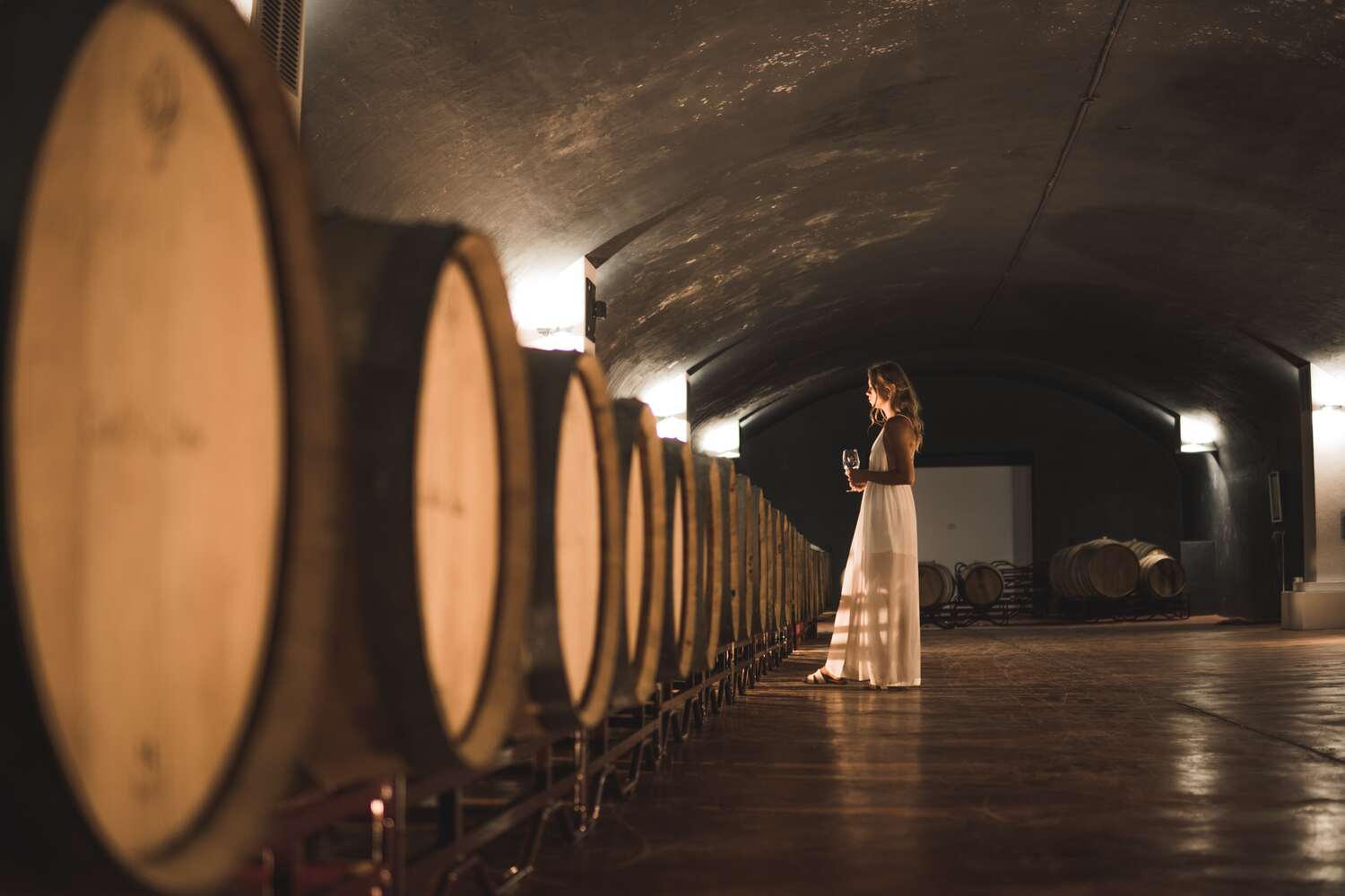 1-Day Wine Tour: Torres Vedras & Colares from Lisbon