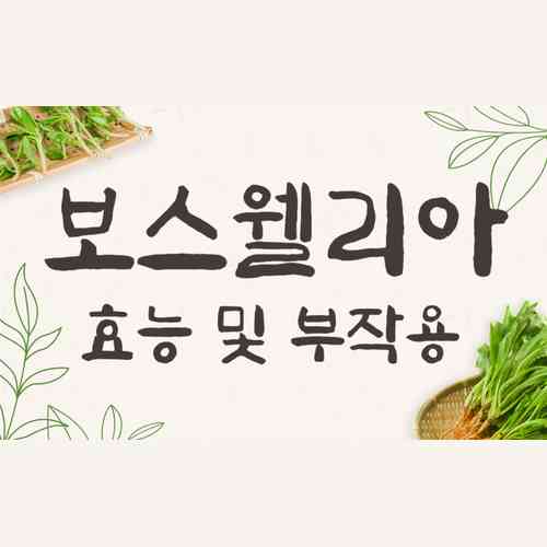 보스웰리아 관절 효능은 진짜일까? 부작용까지 완벽 정리