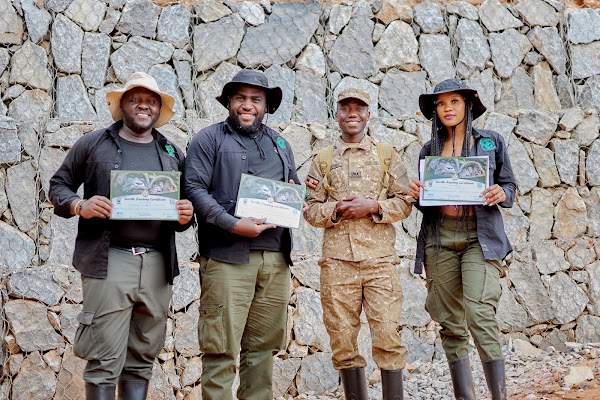 Bwindi frame 35