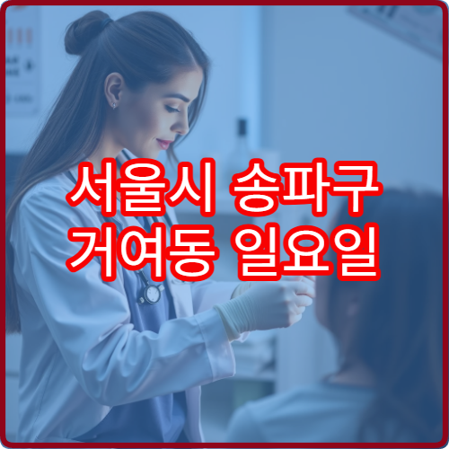 서울시 송파구 거여동 일요일 내과 진료 병원 감기 장염