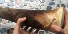Bóc vỏ măng.